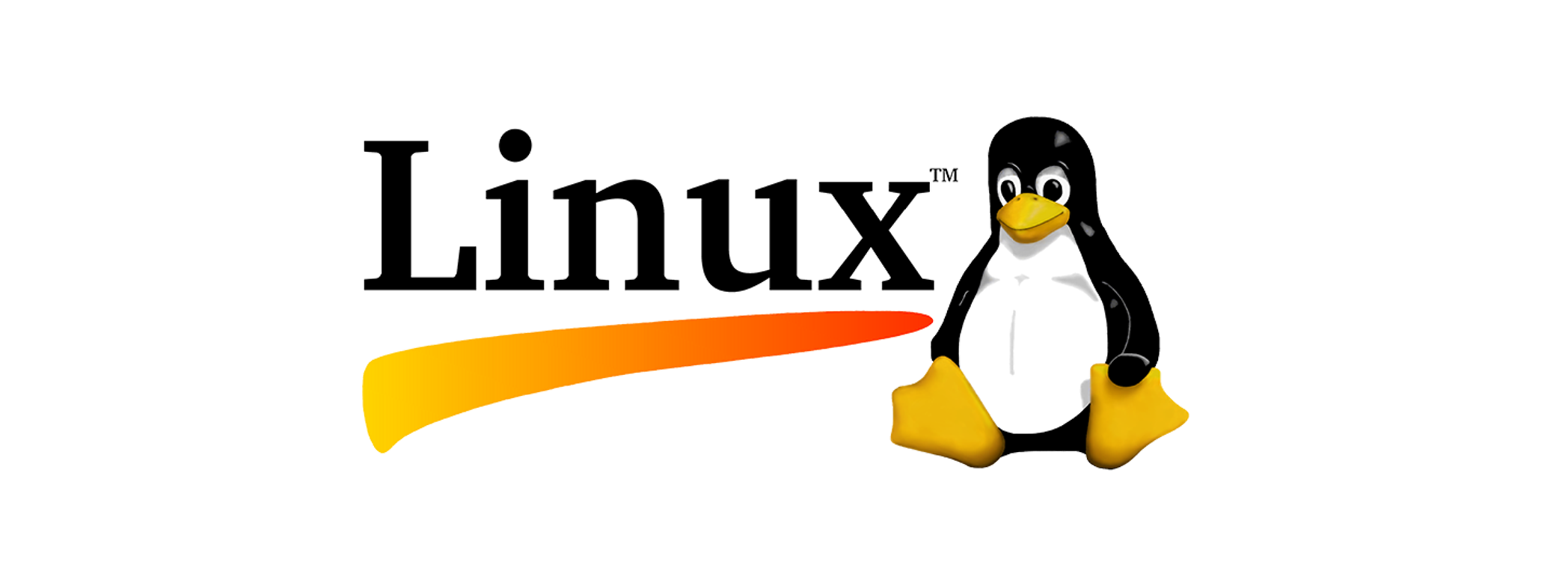 Linux Server